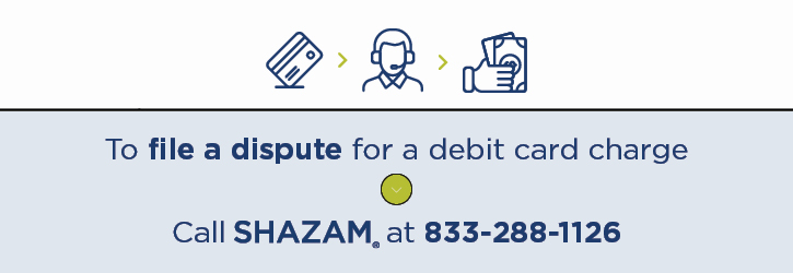 Dispute Partner Plus